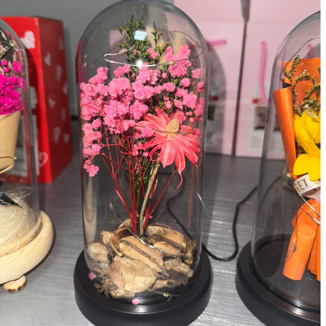 LÁMPARA DE ROSAS PROMOCIÓN 3 X 1✨