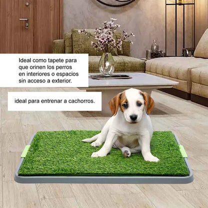 Tapete sanitario para perros