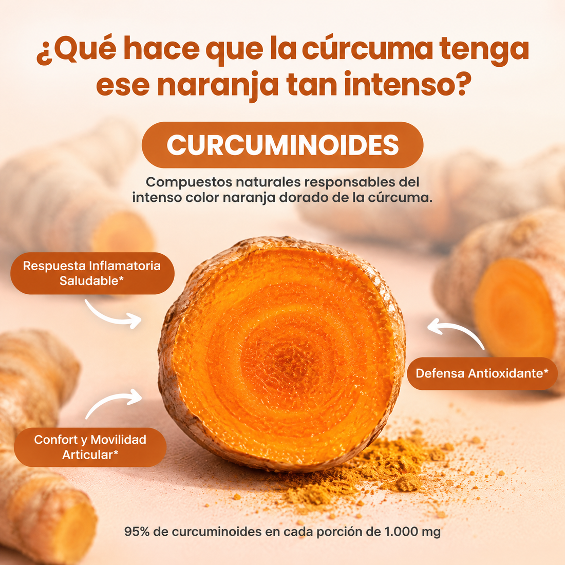 Turmeric Cúrcuma · curcuminoides