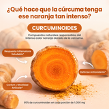 Turmeric Cúrcuma · curcuminoides