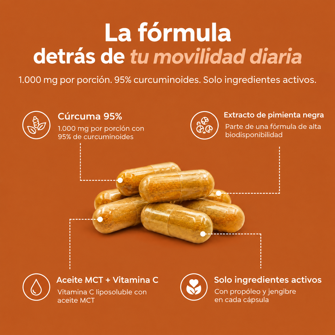 Turmeric Cúrcuma · la fórmula