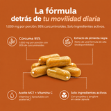 Turmeric Cúrcuma · la fórmula