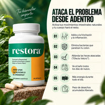 Restora – Equilibrio Digestivo y Regularidad Intestinal